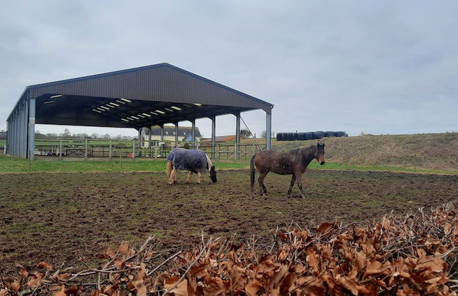 Cozy Lanarkshire Apartment With a View - Foto 30