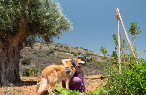 Apia Villas - Foto 10