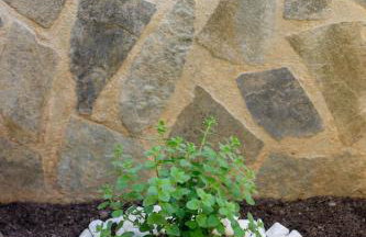 Santos Accommodotion - Foto 46