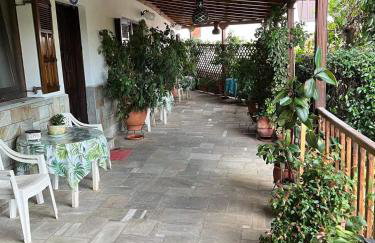 AFISSOS-DREAM 3STUDIOS - Photo 39