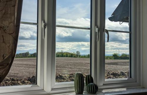 Cosy family cottage south Somerset - Foto 20