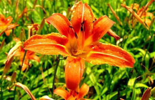 Appartamento con vista sul Cimone - Foto 72