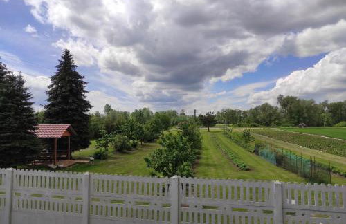 Agroturystyka Kobylnica nad Wisłą - Foto 49