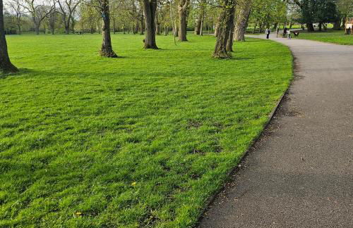 Alexandra Park - Foto 21