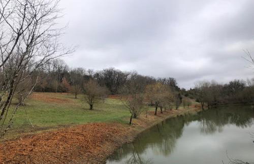 Le Merlat Gite - Foto 31