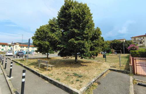 Valdisieve Guest House Appartamento 20 minuti da Firenze - Foto 31