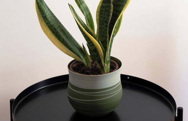 Appartamento Vittoria - Photo 23