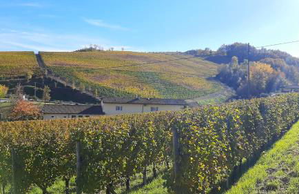 Ciabot delle Aie - Barolo - Foto 20