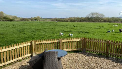 Luxury Shepherd Hut - Foto 3