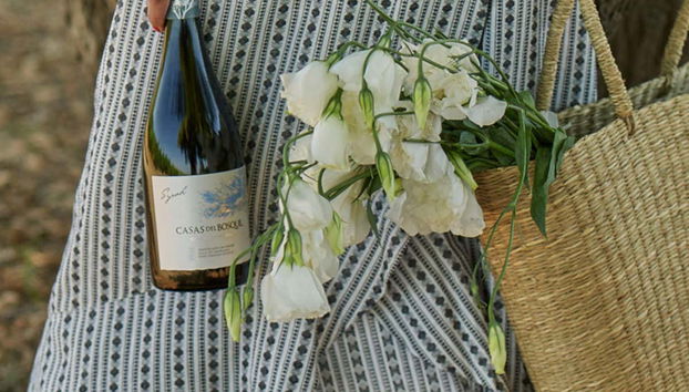 Casas del Bosque Winery Tour - Foto 2