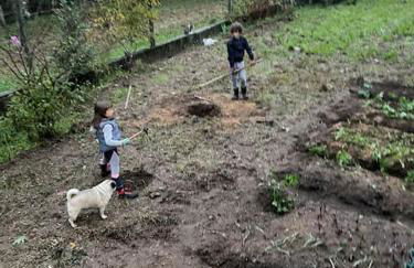 Quinta do Tojal - Tourism immersed in nature! - Foto 11