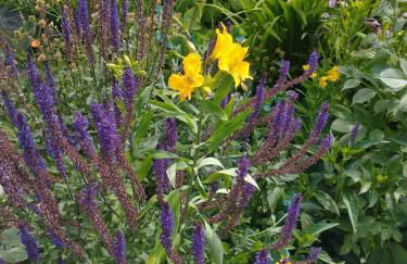 Garden Artist Loft Studio - Foto 26