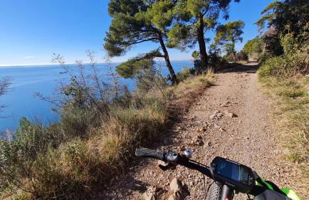 Alla Cantina - Foto 37