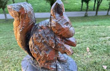 VILA LASOVIC + POOL + JACUZZI + SAUNA - Foto 48