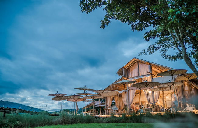 1000 Stars - Foto 27