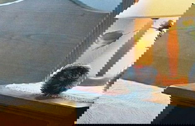 Residenza Antica Canonica - Foto 12