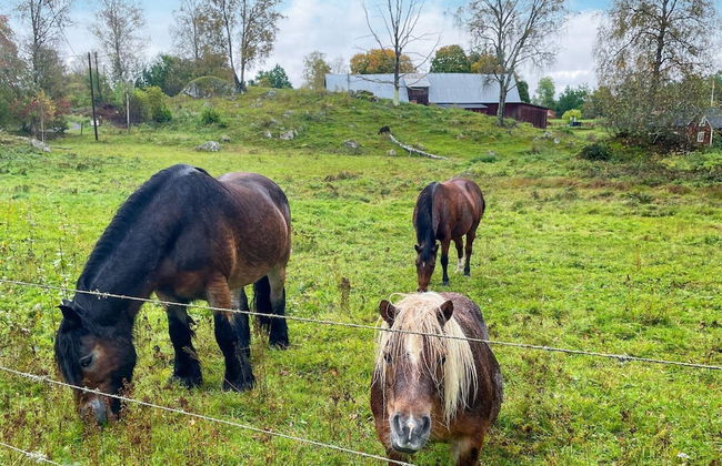 4 Star Holiday Home in Hok-by Traum - Foto 21