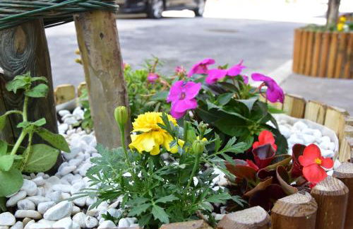 Hotel apartments Crisvan - Foto 34