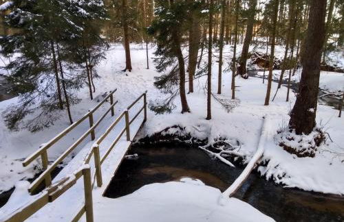 Villa Duck-Dich-Südheide - Photo 38