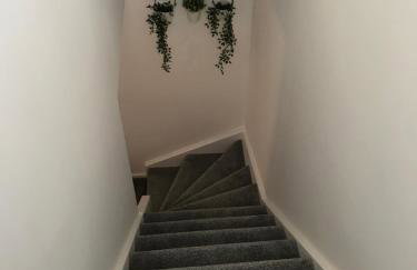 Property Hunter 25 - Photo 12