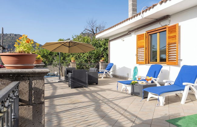 Giardino di Nonno Lucio - Foto 24