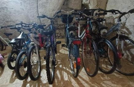 Meublé de tourisme Petit Chail Saint Savinien - Foto 50