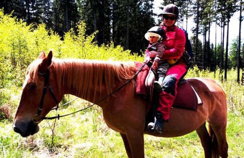 Dom Geologa - Foto 59