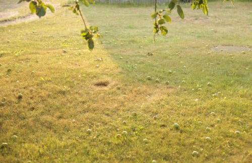 Große Ferienwohnung in Peetzig am See - Foto 72