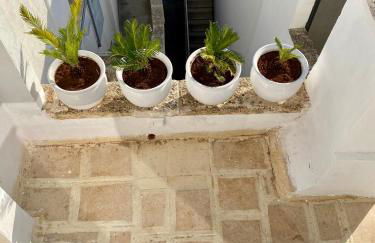 Dimore Arcudi - Foto 7