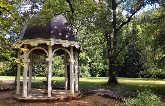 Marienbad Apartment - Foto 68