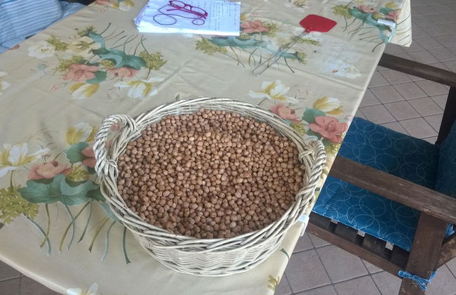 Farmhouse Paradiso - Foto 53