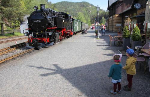 Oberlausitzer Ferienhaus Gebirgshäusl Oybin - Foto 41