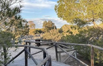 Playa del Pinet 2 - Photo 38