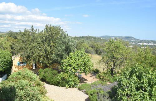 Attractive Portuguese Farm With Modern Decoration - Foto 15