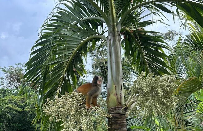 Vista del Pacifico Boutique Hotel - Photo 41