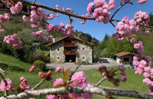 Agroturismo Urresti - Foto 7