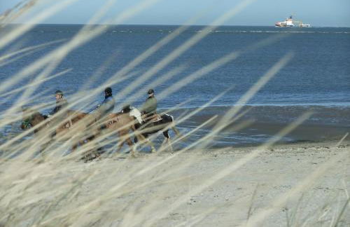 Haus Auf der Warft in Wangerland - Photo 39