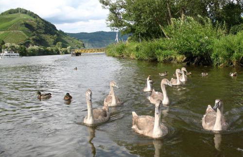 Residence Bellevue - Foto 31