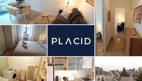 Le Béranger T2 centre wifi balcon - Foto 2