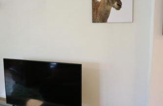 Cave Trieste Apartments - CaTs Apartments - Photo 7