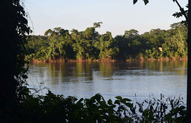 Tambopata National Reserve & Rainforest 4 Day Tour - Photo 5