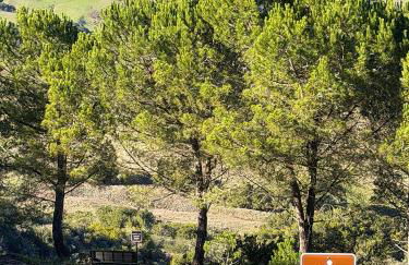 Mountain Top Getaway, BEST VIEW IN SLO! - Whole House - Foto 19