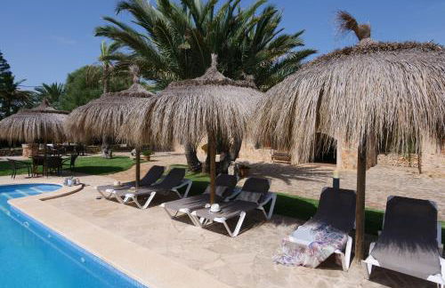 Finca Corso de Shorta - Foto 9