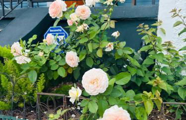 Charming Creole Cottage near French Quarter - Foto 22