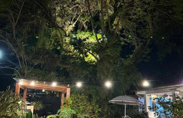 Casa da Árvore Bertioga - Photo 30