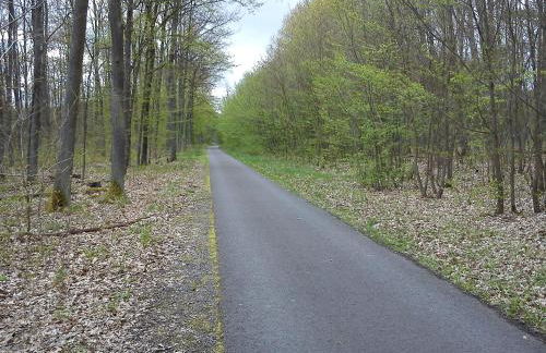 Ferienwohnungen 3 Birken - Foto 10