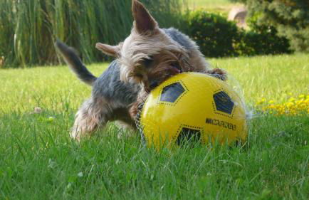 Podere il Giurato - Foto 55