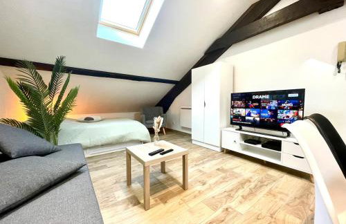 Nid Douillet Rénové - Centre-Ville - WIFI - Smart TV - Gare 8 min - Foto 12