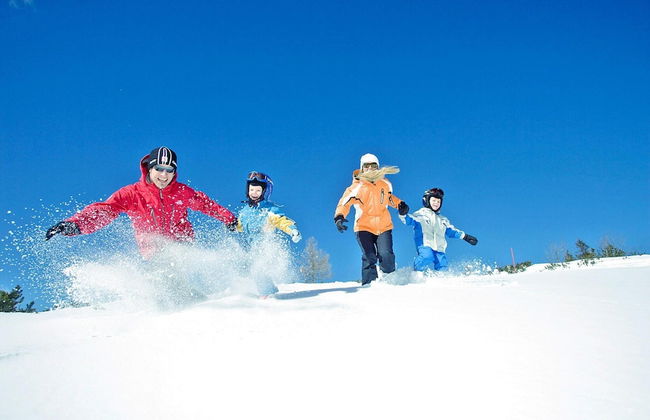 Chalet on Feuerkogel With Stunning Views - Foto 15