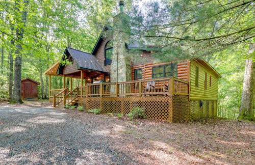 Mineral Bluff Cabin Hot Tub, Pets, and Peace - Foto 30